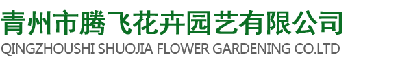 青州市騰飛花卉園藝有限公司